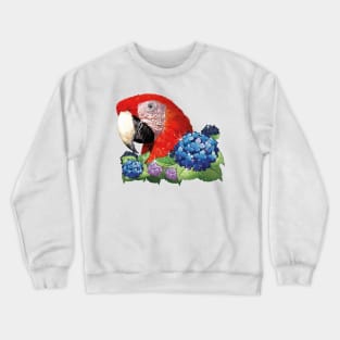 Scarlet macaw Crewneck Sweatshirt